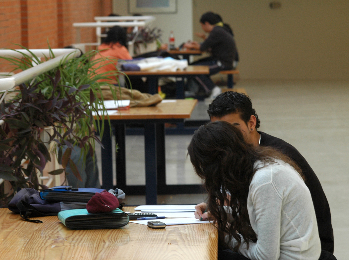 Pareja estudiando